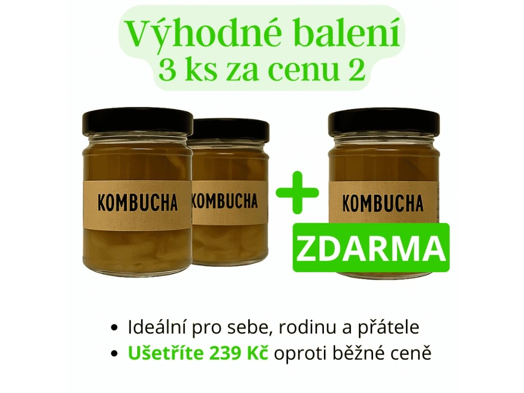 Akce Kombucha SCOBY 2+1