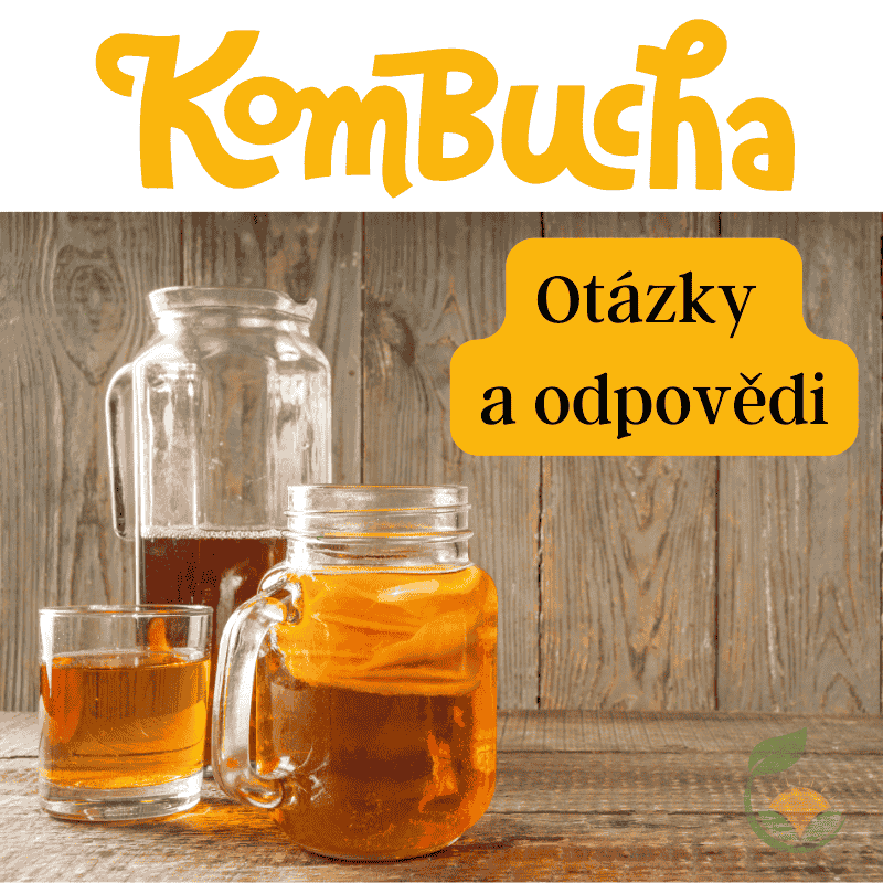 Sklenice s kombuchou